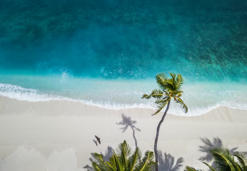 Zanzibar beach finish