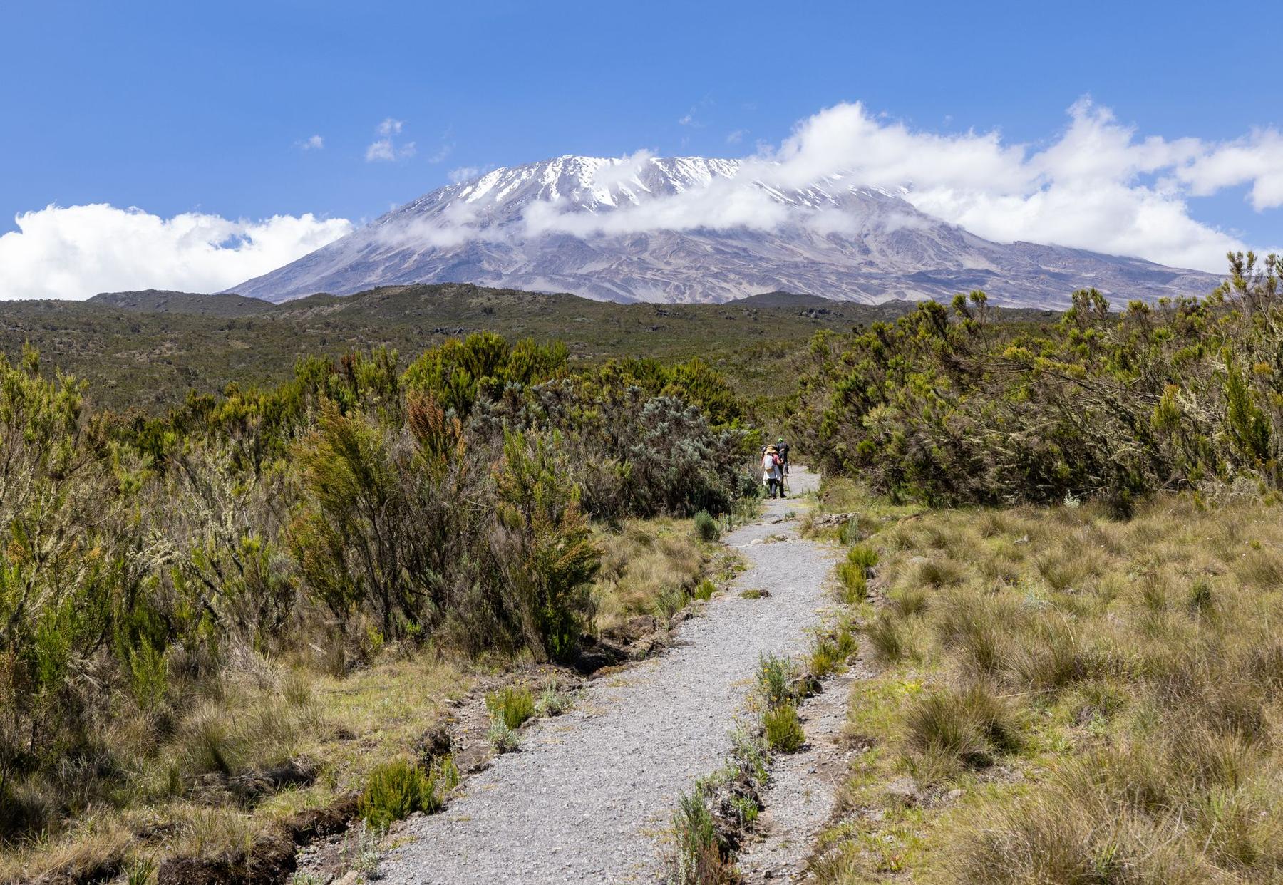 Trekkers on the Kilimanjaro trail